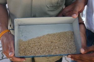 RMUTT invented Brown Rice Milling Machine, using manpower