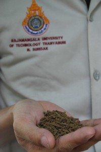 RMUTT students invented Shrimp Feed Pellet Mill, aims to cut cost