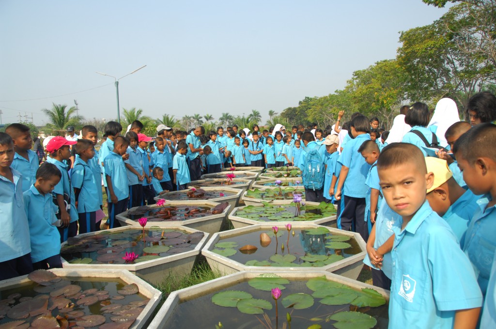 Pupils visiting RMUTT Lotus Museum