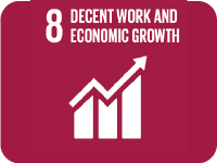 8 Decent Work and Economic Growth