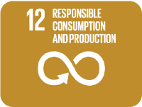 12 Responsible Consumption and Production